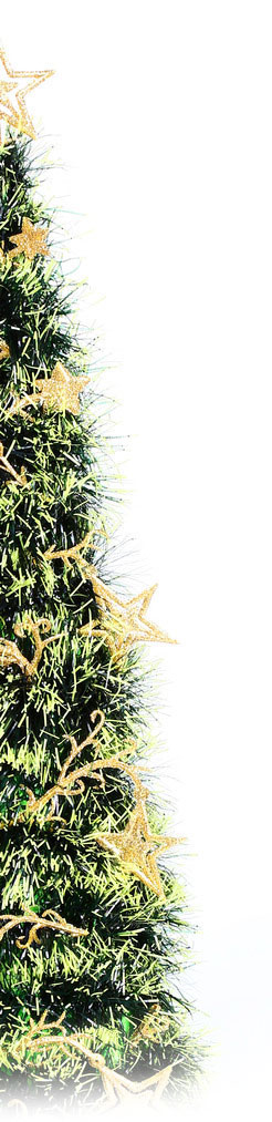 Weihnachstbaum nach Wunsche Weihnachstbaum nach Wunsch