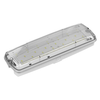 DOTLUX LED-Rettungsleuchte EXIT 3,8W 6000K inkl. 4...