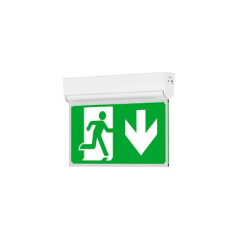 DOTLUX LED-Rettungsleuchte EXITflip max.3W 6000K inkl. 6...