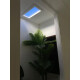 DOTLUX LED-Einbauleuchte SUNLIGHThcl 620x310mm 50W 2700-5700K Tuya