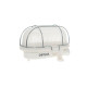 DOTLUX LED-Kellerleuchte PROTECT 9W 4000K IP54