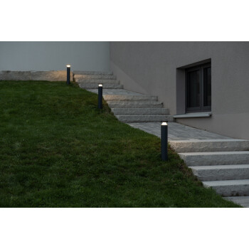 DOTLUX LED-Pollerleuchte TERRA 55cm 6,5W 3000K