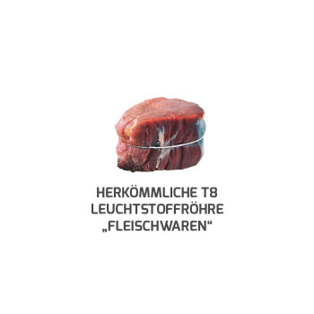DOTLUX LED-Röhre LUMENPLUS 97cm 12W Fleischfarbe gefrostet